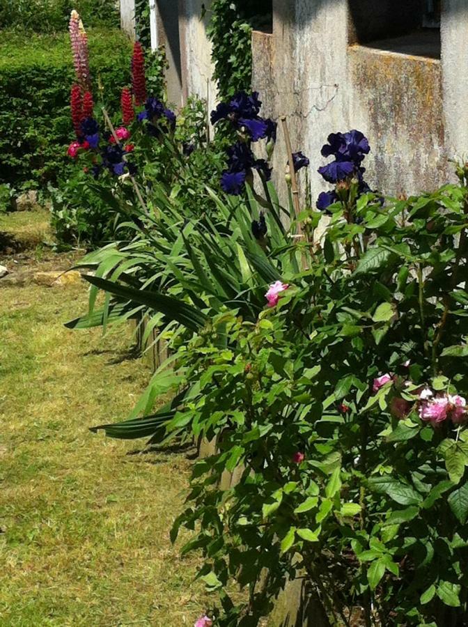 Bed and Breakfast Ferme De Maillezais L'Houmeau Exterior foto
